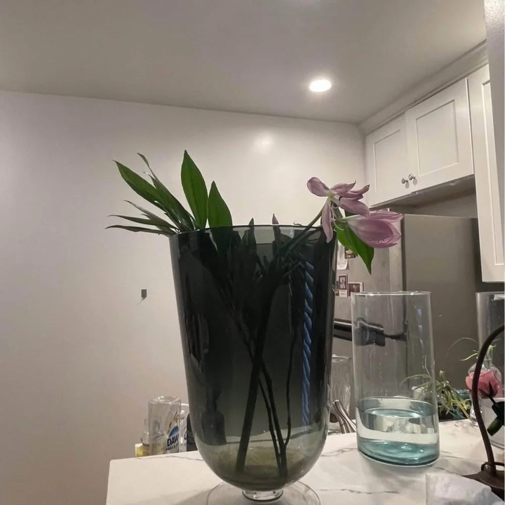 Smoked Glass Large vase orig 2540$